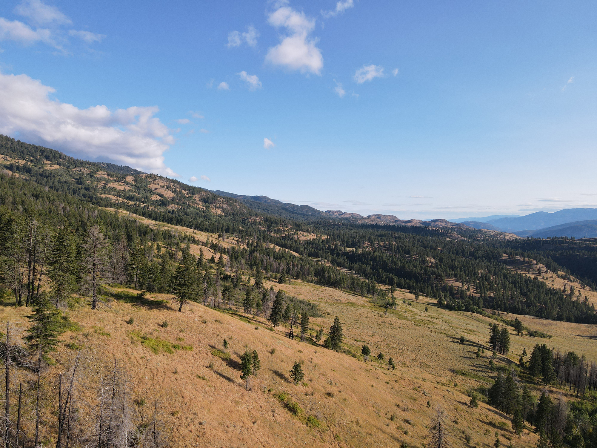 Large property for sale in the South Okanagan