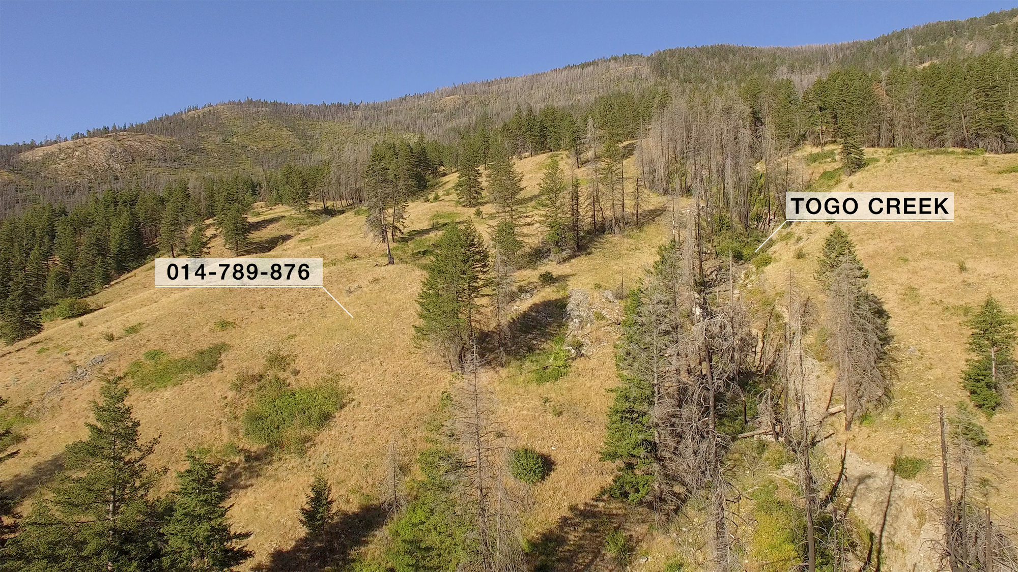 Large property for sale in the South Okanagan