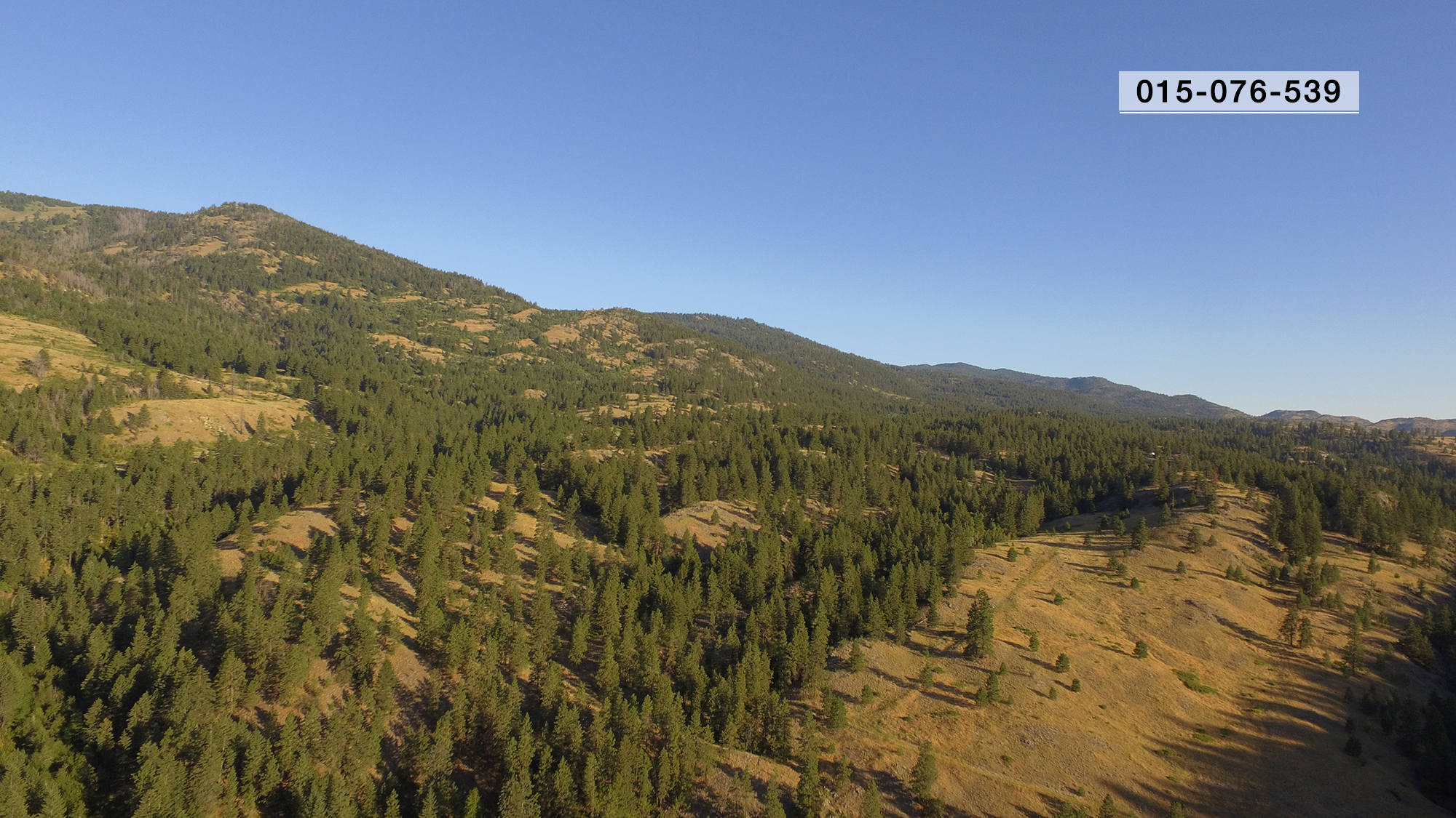 Large property for sale in the South Okanagan