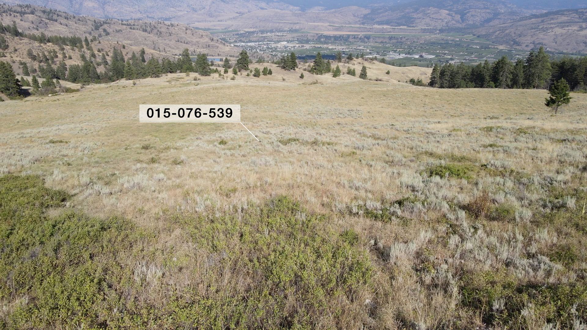 Large property for sale in the South Okanagan
