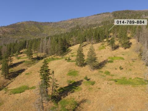 Large property for sale in the Okanagan